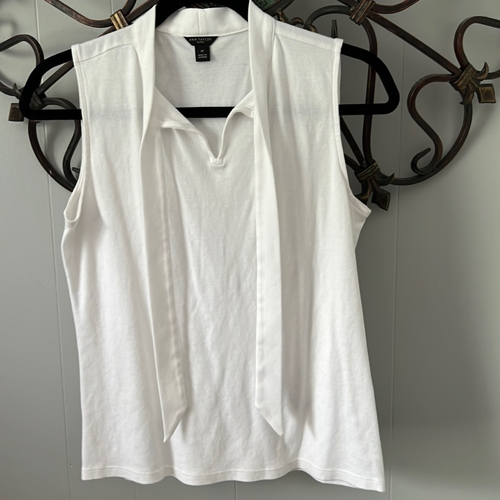 Ann Taylor top. MP